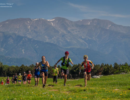 28-29 oct. II STAGE DE TARDOR… ESCALFEM MOTORS!!